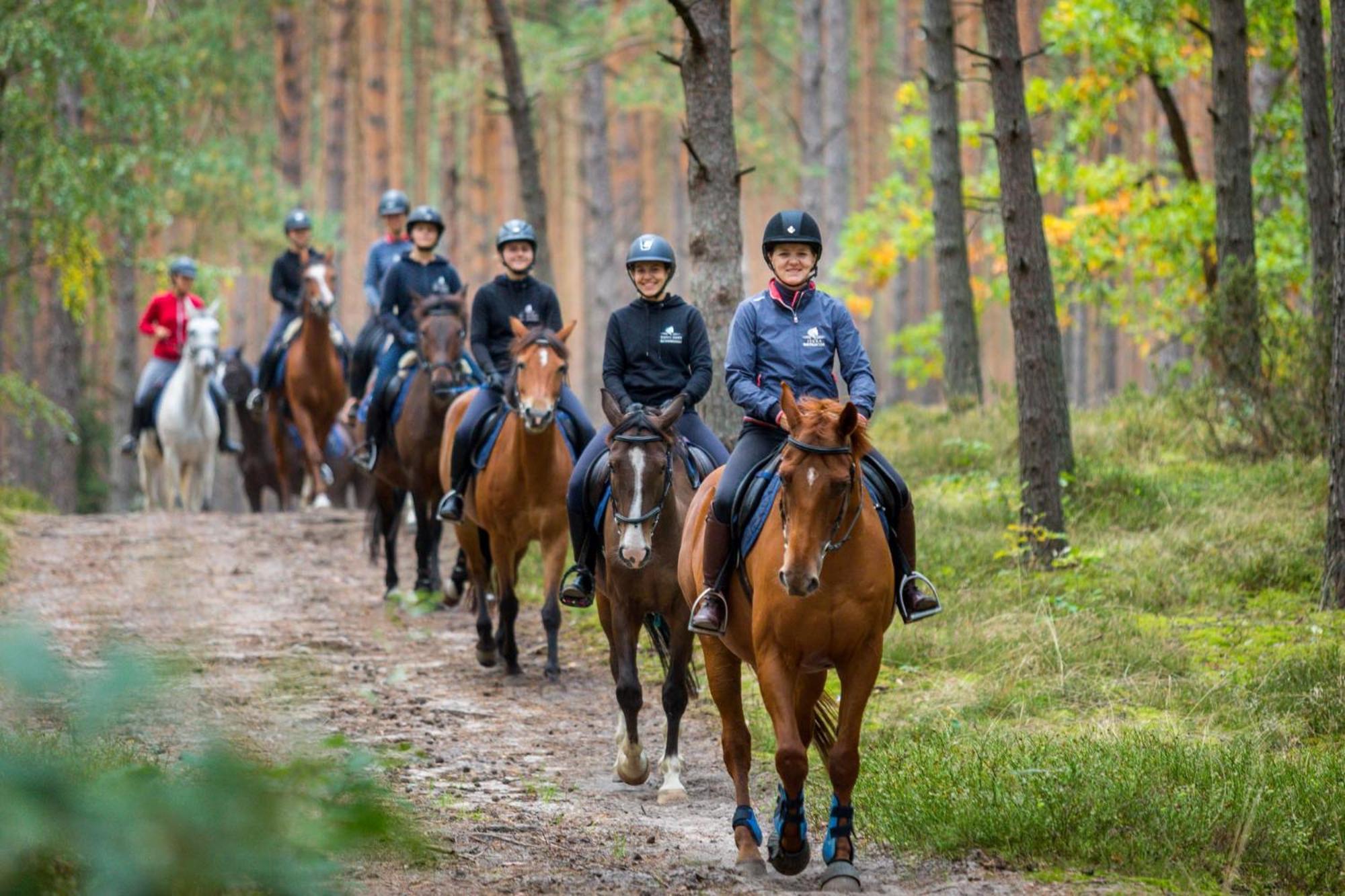 Pensjonat Iskra Sztum Bagian luar foto